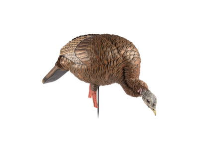 Avian-X HDR Feeding Hen Turkey Decoy