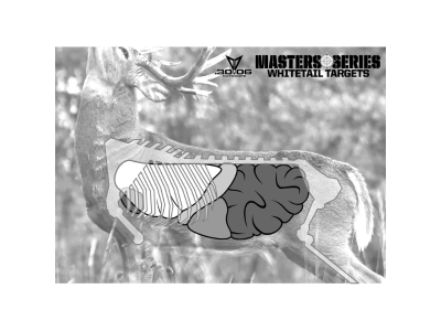 30-06 Whitetail Paper Target