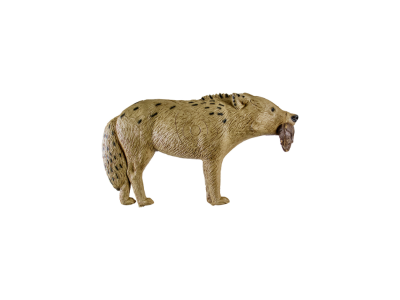 Rinehart Signature Coyote Target