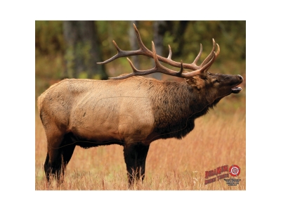 DuraMesh Archery Target