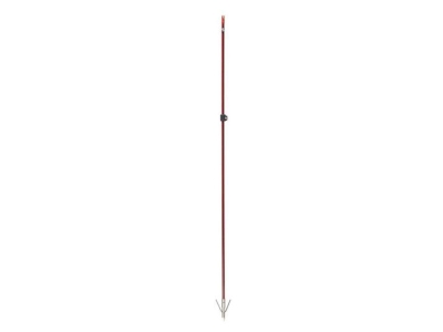 Cajun Wasp Arrow with Piranha Point XT