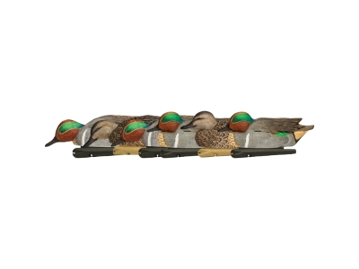 Avian-X Top Flight Duck Decoys Green-Winged Teal 6 pk.