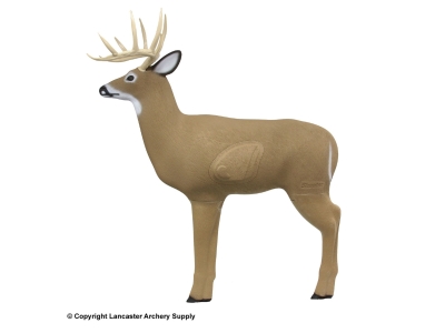 Field Logic Shooter Buck 3D Archery Bow Deer Target