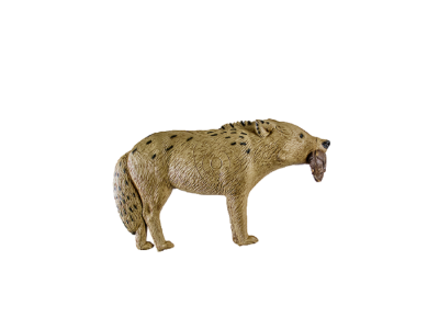 Rinehart Woodland Coyote