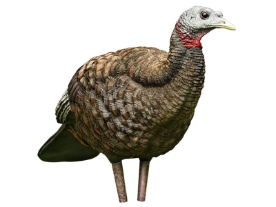 Avian-X LCD Breeder Hen Collapsible Turkey Decoy