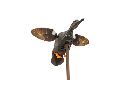 Mojo Outdoors Elite Series Gadwall Decoy