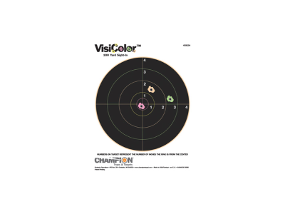 Champion VisiColor Bullseye Paper Hanging, 10
