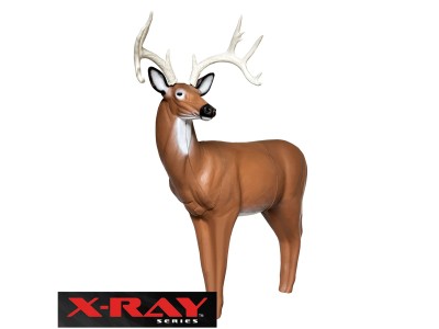 Big Shot RealWild X-Ray Series Big Buck Deer