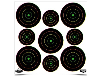 Birchwood Casey Dirty Bird Targets, 2" & 3" Targets, 180ct