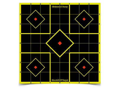 Birchwood Casey Shoot-N-C Sight-In Targets, 8" Square, 6ct