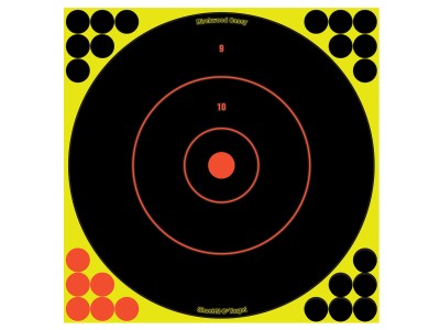 Birchwood Casey Shoot-N-C Bullseye Targets, 12", 5 Targets + 120 Pasters