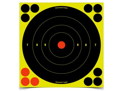 Birchwood Casey Shoot-N-C Targets, 8" Bullseye, 6 Targets + 24 Pasters