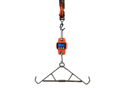Allen Digital Game Scale