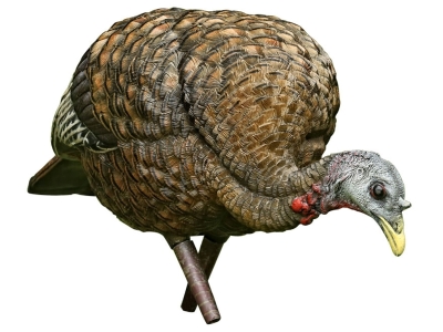 Avian-X LCD Feeder Hen Collapsible Turkey Decoy