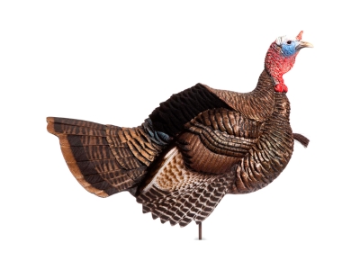 Dave Smith Decoys Posturing Jake Decoy
