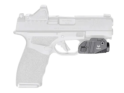 Viridian Custom CTL Accessory