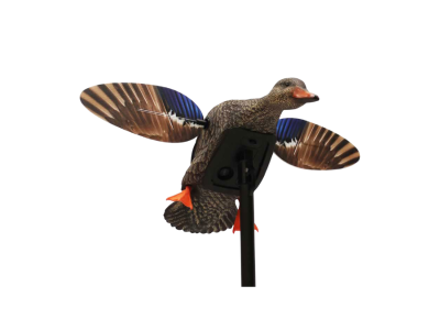 Mojo Outdoors Elite Series Mini Hen Mallard Decoy
