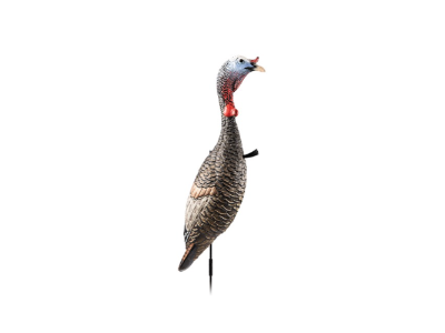 Flextone Turkey Decoy