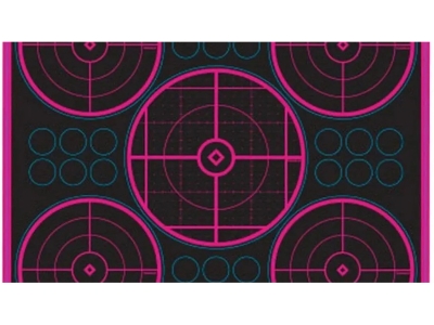 TruGlo TruSee 5Bull Target (6pack)