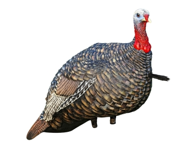 Avian-X LCD Jake Quarter Strut Collapsible Turkey Decoy