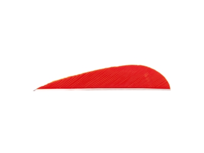 Trueflight Parabolic Feathers, Red, 100
