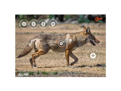 Allen EZ Aim Paper Shooting Targets, 2 count
