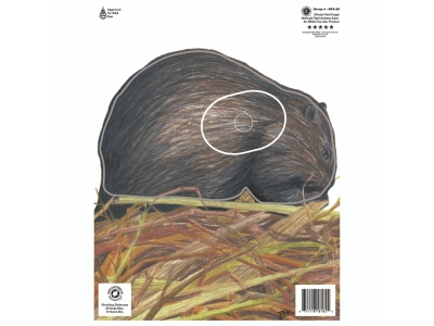 Maple Leaf Press Maple Leaf NFAA Animal Faces