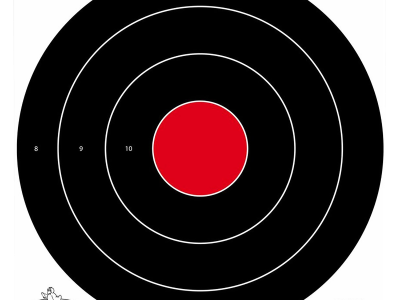 Birchwood  Dirty Bird Bullseye Tagboard Target 17.25"