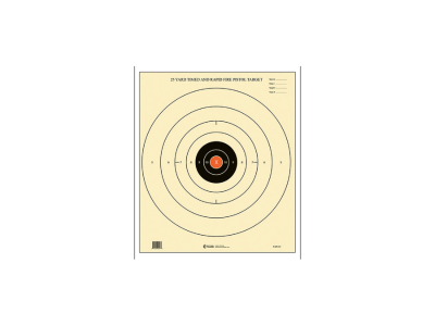 Action Target Competition NRA Time & Rapid Fire Target, 100