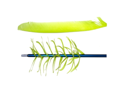 Trueflight Spiral Wrap Flu-Flu Feathers, Chartreuse, 100