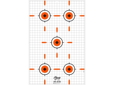 Allen EZ Aim Shooting Target & Backer