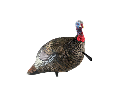 Avian-X LCD Quarter-Strut Jake Turkey Decoy