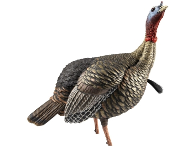 Avian-X HDR Jake Turkey Decoy with Multiple Head Positions