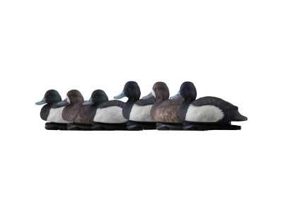 Avian-X Top Flight Duck Decoys Blue Bills 6 pk.