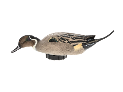 Avian-X Power Shaker Motion Decoy, Pintail - Surface Feeder