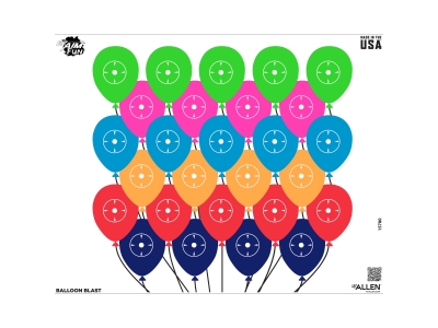 Allen EZ Aim Fun Paper Shooting Targets, 4 Count