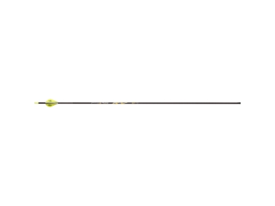 Victory RIP XV Elite Arrows, 6