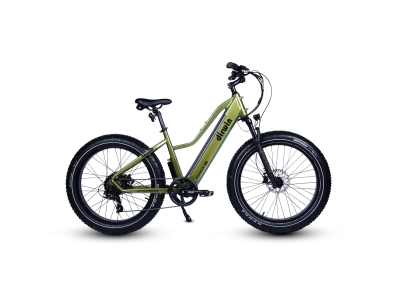 Dirwin Pioneer Lite Fat Tire Electric Bike