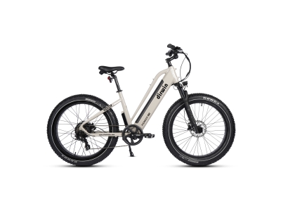 Dirwin Pioneer Lite Fat Tire Electric Bike