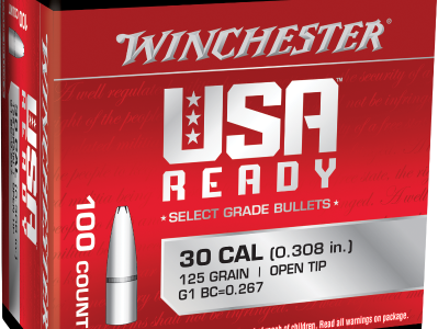 Winchester Centerfire Rifle 308 Win, .308 Winchester, 100