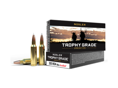 Nosler Trophy Grade Rifle Rounds, .300 Winchester Short Magnum, 20