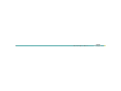 Easton Genesis Arrows 3 in. Vane Teal, Realtree AP HD, 36 count
