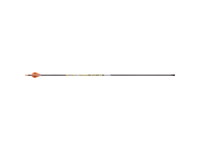 Victory VAP Elite Arrows, 6