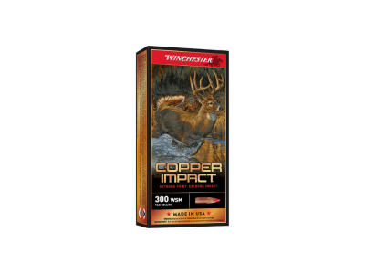 Winchester Copper Impact, .300 Winchester Short Magnum, 20