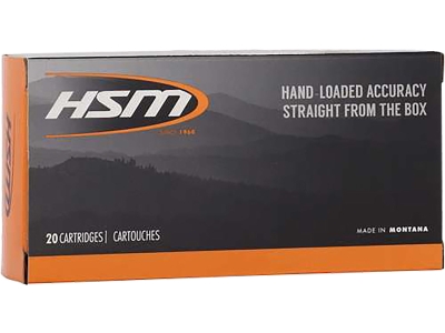 HSM 45-70Gov 300gr Jacketed Hollow Point, .45-70 Government, 20