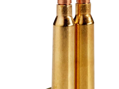 Lehigh Defense Controlled Chaos, .223 Remington, 20