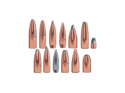 Speer Grand Slam .308 180 gr Grand Slam Soft Point, 50