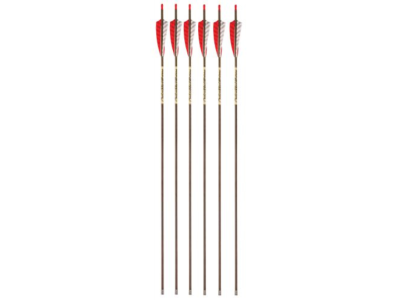 Victory CarbonTrad Sport Fletched Arrows with Inserts and Nocks, 6 count, Wood