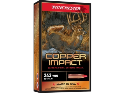 Winchester Copper Impact, .243 Winchester, 20