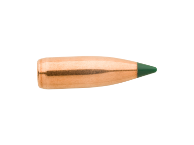 Sierra BlitzKing 22Cal, 100
